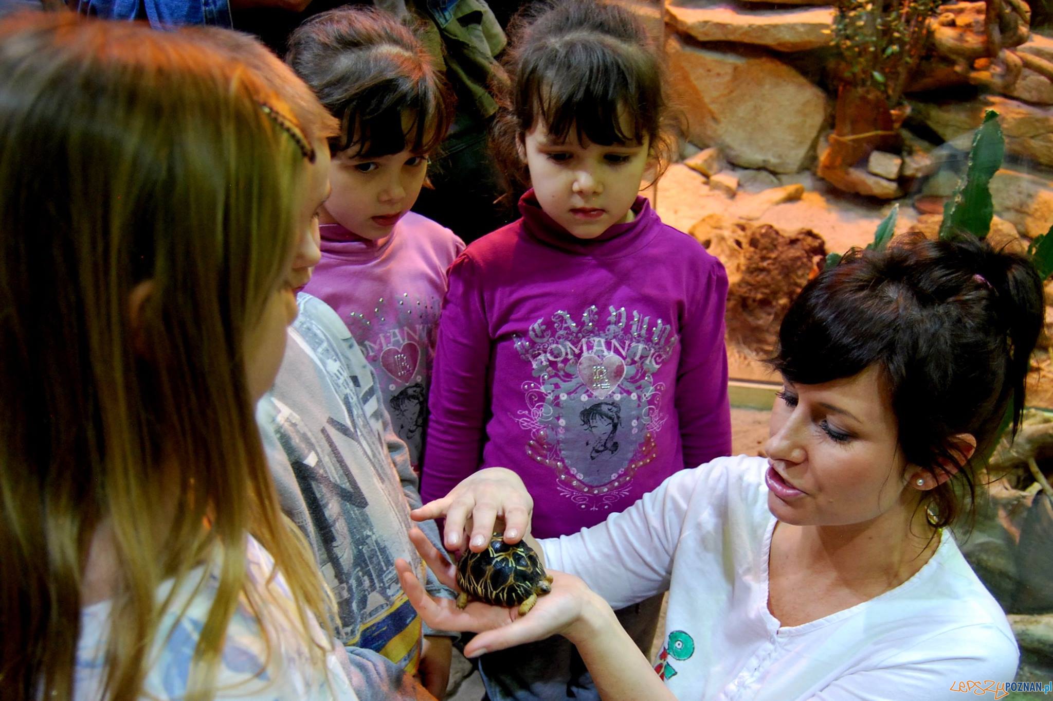 Spotkania w ZOO Foto: ZOO - materiały prasowe Spotkania w ZOO Foto: ZOO - materiały prasowe