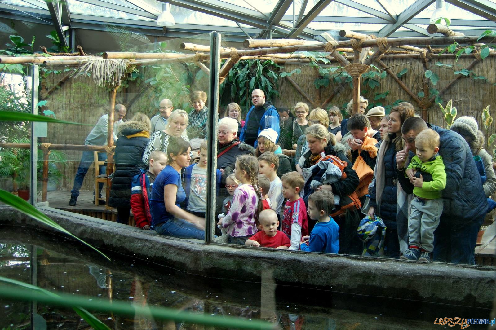 Atrakcje poznańskiego ZOO Foto: ZOO Poznań Atrakcje poznańskiego ZOO Foto: ZOO Poznań