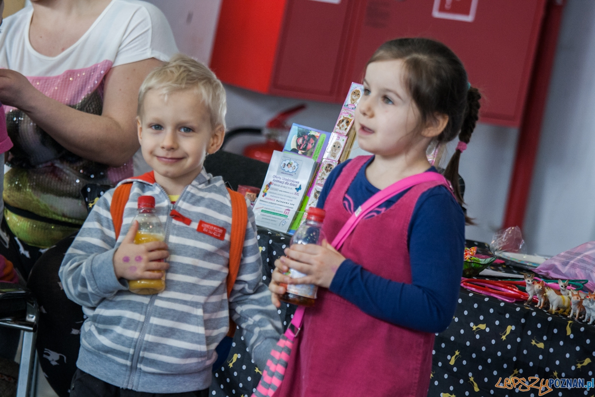 Wystawa kotów rasowych (20.02.2016) MTP Foto: © lepszyPOZNAN.pl / Karolina Kiraga Wystawa kotów rasowych (20.02.2016) MTP Foto: © lepszyPOZNAN.pl / Karolina Kiraga