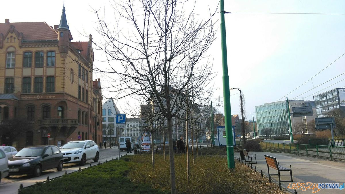 Plac Stawny_ Foto: Tomasz Dworek Plac Stawny_ Foto: Tomasz Dworek