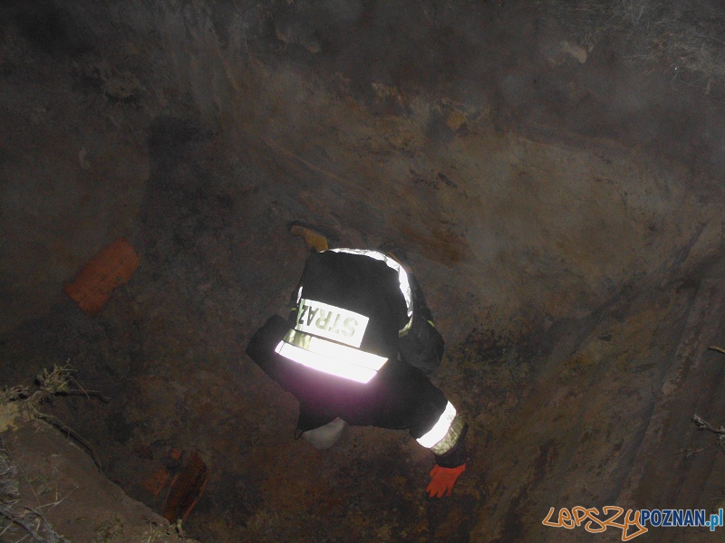 Uratowali szczeniaka, który utknął w... rurze Foto: OSP Dakowy Suche Uratowali szczeniaka, który utknął w... rurze Foto: OSP Dakowy Suche