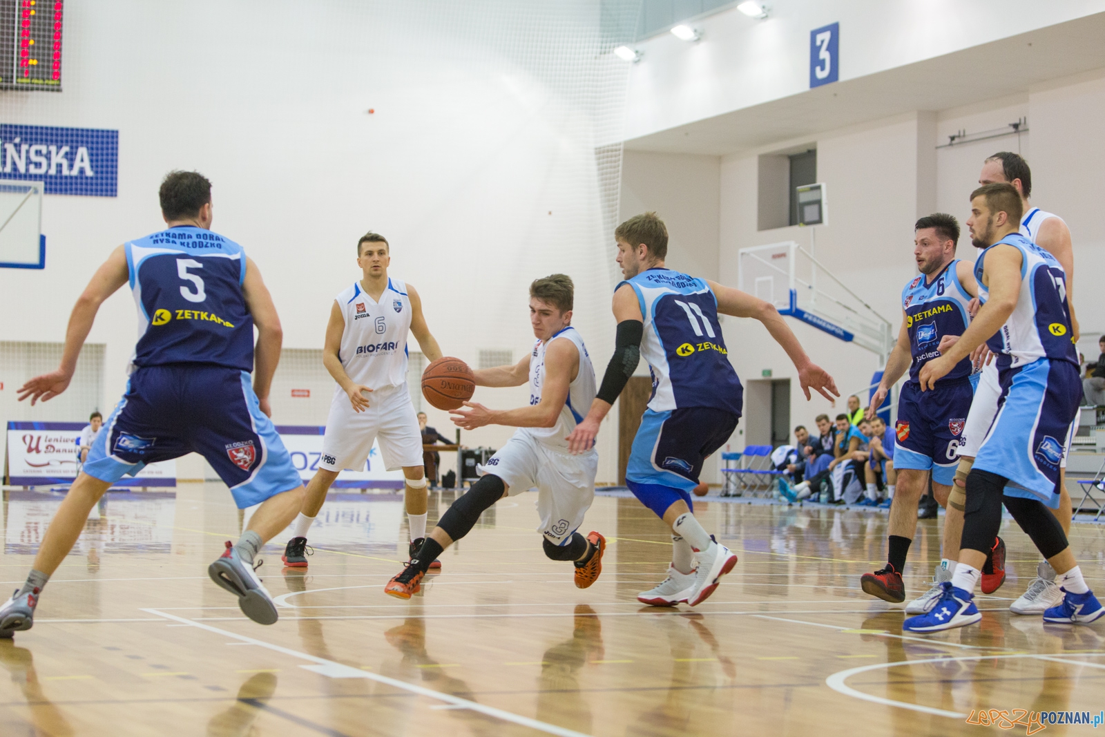 Biofarm Basket Poznań - Zetkama Doral Nysa Kłodzko Foto: lepszyPOZNAN.pl / Piotr Rychter Biofarm Basket Poznań - Zetkama Doral Nysa Kłodzko Foto: lepszyPOZNAN.pl / Piotr Rychter