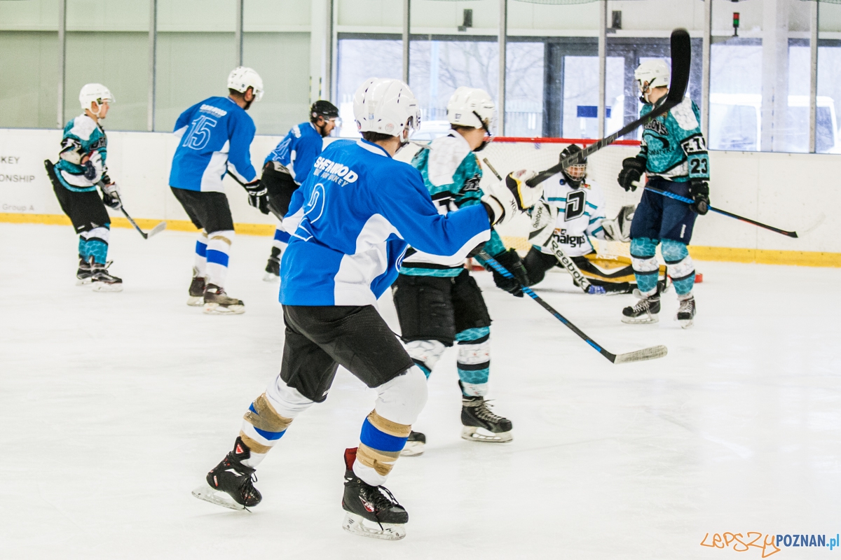 II liga, Malgips Dragons Gdańsk - Hokej Poznań (6.03.2016) Foto: © lepszyPOZNAN.pl / Karolina Kiraga II liga, Malgips Dragons Gdańsk - Hokej Poznań (6.03.2016) Foto: © lepszyPOZNAN.pl / Karolina Kiraga