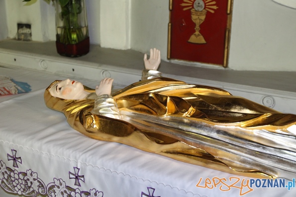 Barokowe rzeźby wróciły do Murowanej Gosliny Foto: Barokowe rzeźby wróciły do Murowanej Gosliny Foto: