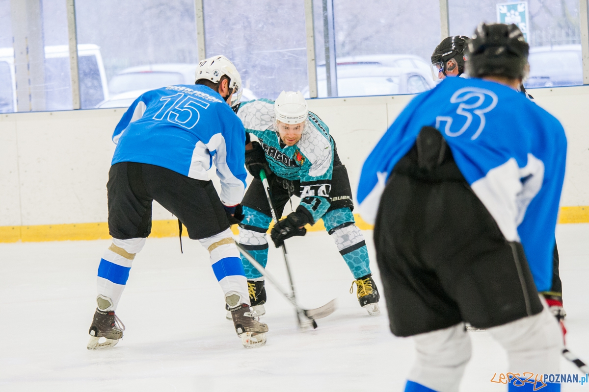 II liga, Malgips Dragons Gdańsk - Hokej Poznań (6.03.2016) Foto: © lepszyPOZNAN.pl / Karolina Kiraga II liga, Malgips Dragons Gdańsk - Hokej Poznań (6.03.2016) Foto: © lepszyPOZNAN.pl / Karolina Kiraga
