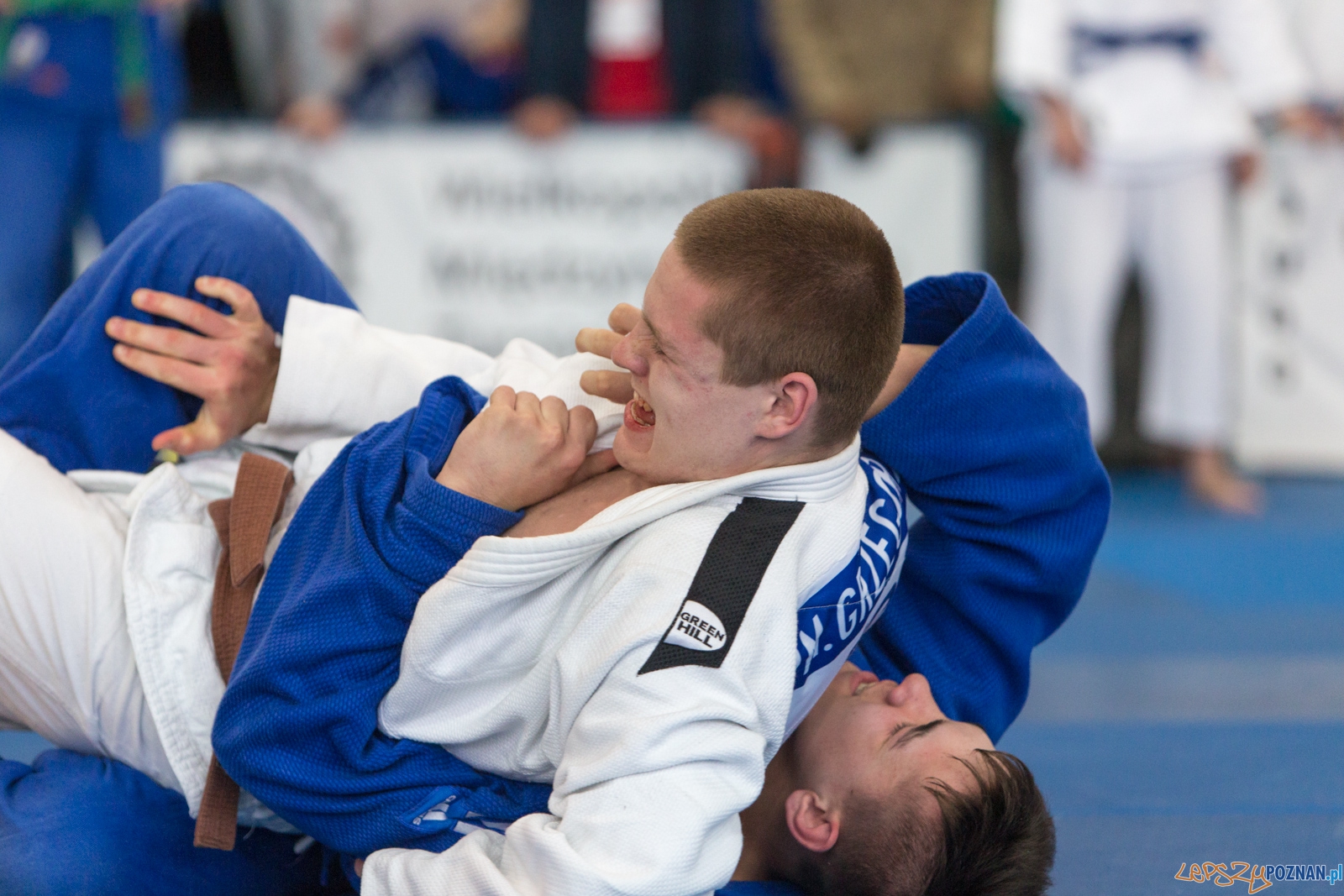 XIII Wielkopolski Międzynarodowy Turniej Judo w Suchym Lesie Foto: lepszyPOZNAN.pl / Piotr Rychter XIII Wielkopolski Międzynarodowy Turniej Judo w Suchym Lesie Foto: lepszyPOZNAN.pl / Piotr Rychter