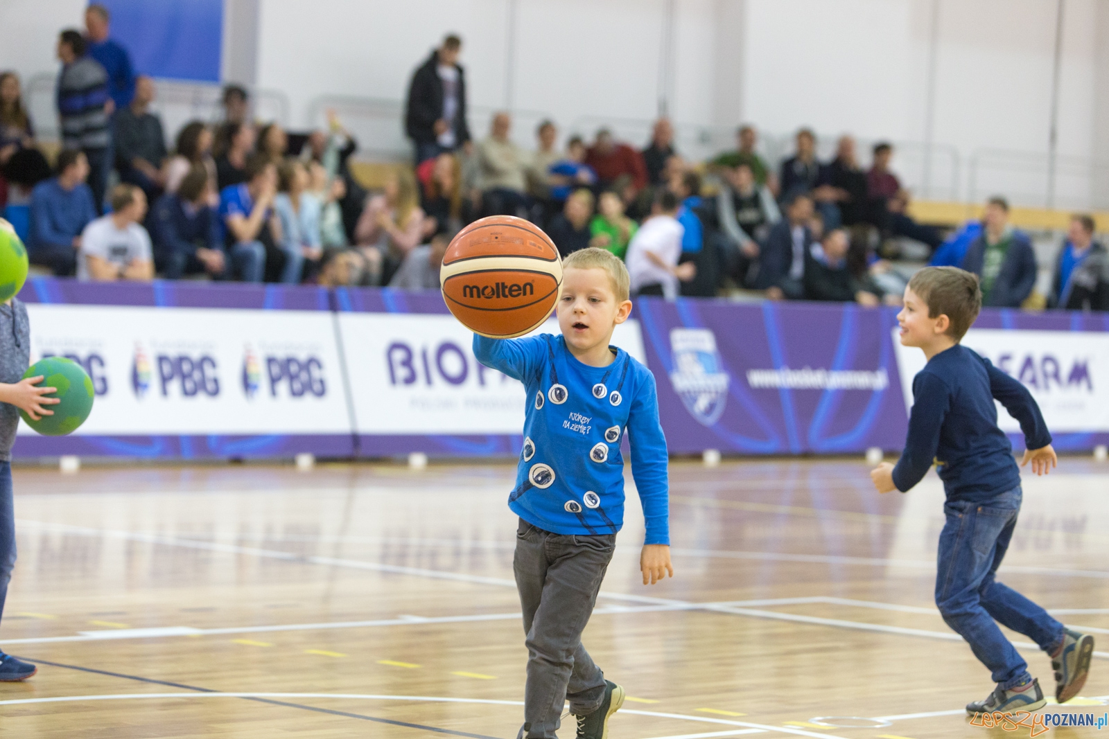 Biofarm Basket Poznań - Zetkama Doral Nysa Kłodzko Foto: lepszyPOZNAN.pl / Piotr Rychter Biofarm Basket Poznań - Zetkama Doral Nysa Kłodzko Foto: lepszyPOZNAN.pl / Piotr Rychter