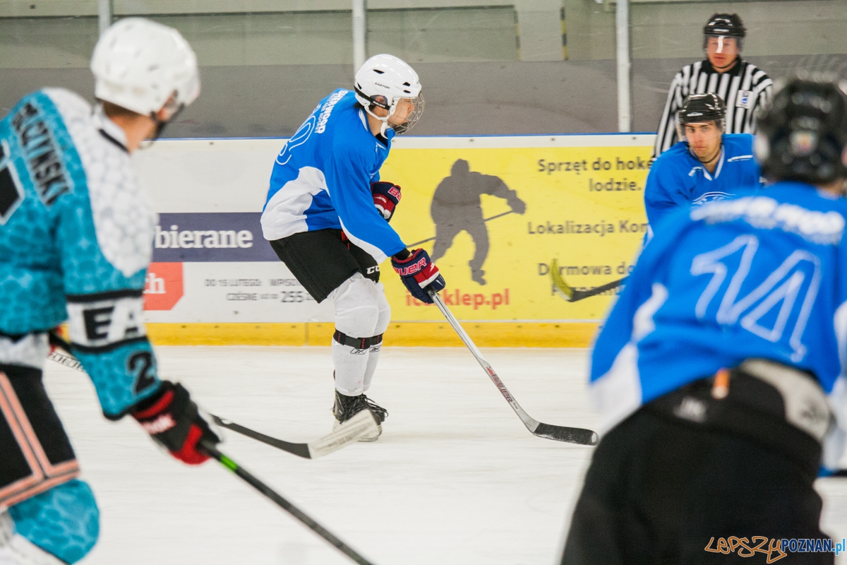 II liga, Malgips Dragons Gdańsk - Hokej Poznań (6.03.2016) Foto: © lepszyPOZNAN.pl / Karolina Kiraga II liga, Malgips Dragons Gdańsk - Hokej Poznań (6.03.2016) Foto: © lepszyPOZNAN.pl / Karolina Kiraga