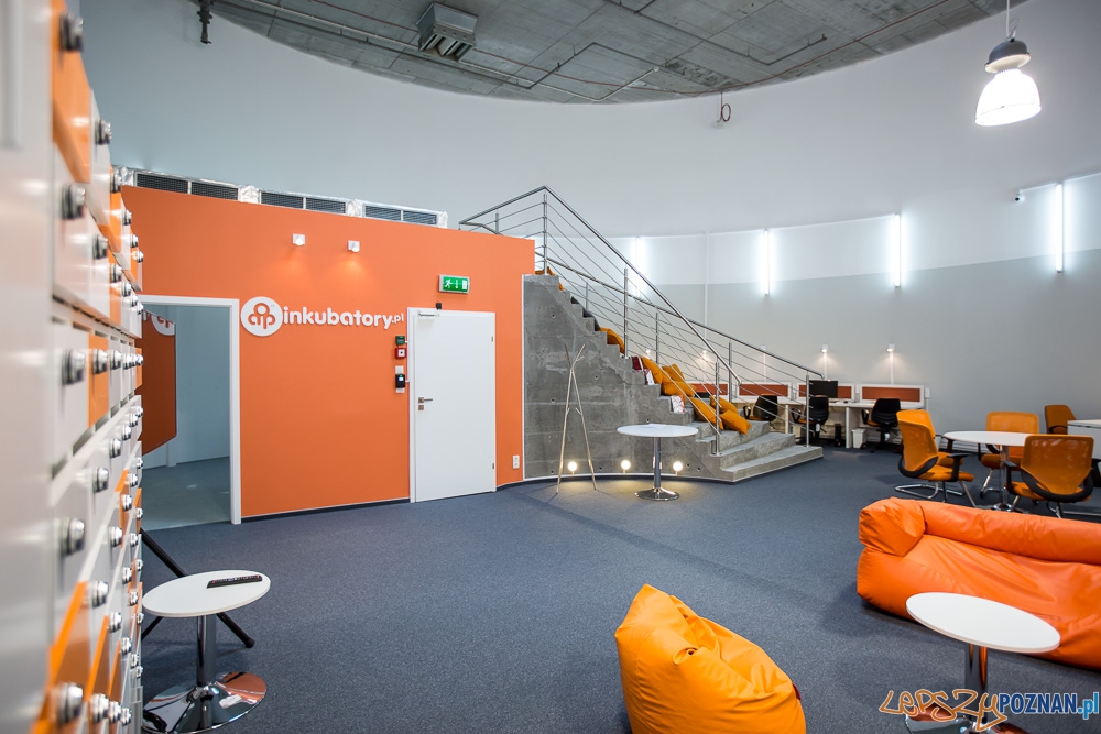 AIP - biuro w Starym Browarze, Rotunda Foto: Jakub Wittchen AIP - biuro w Starym Browarze, Rotunda Foto: Jakub Wittchen