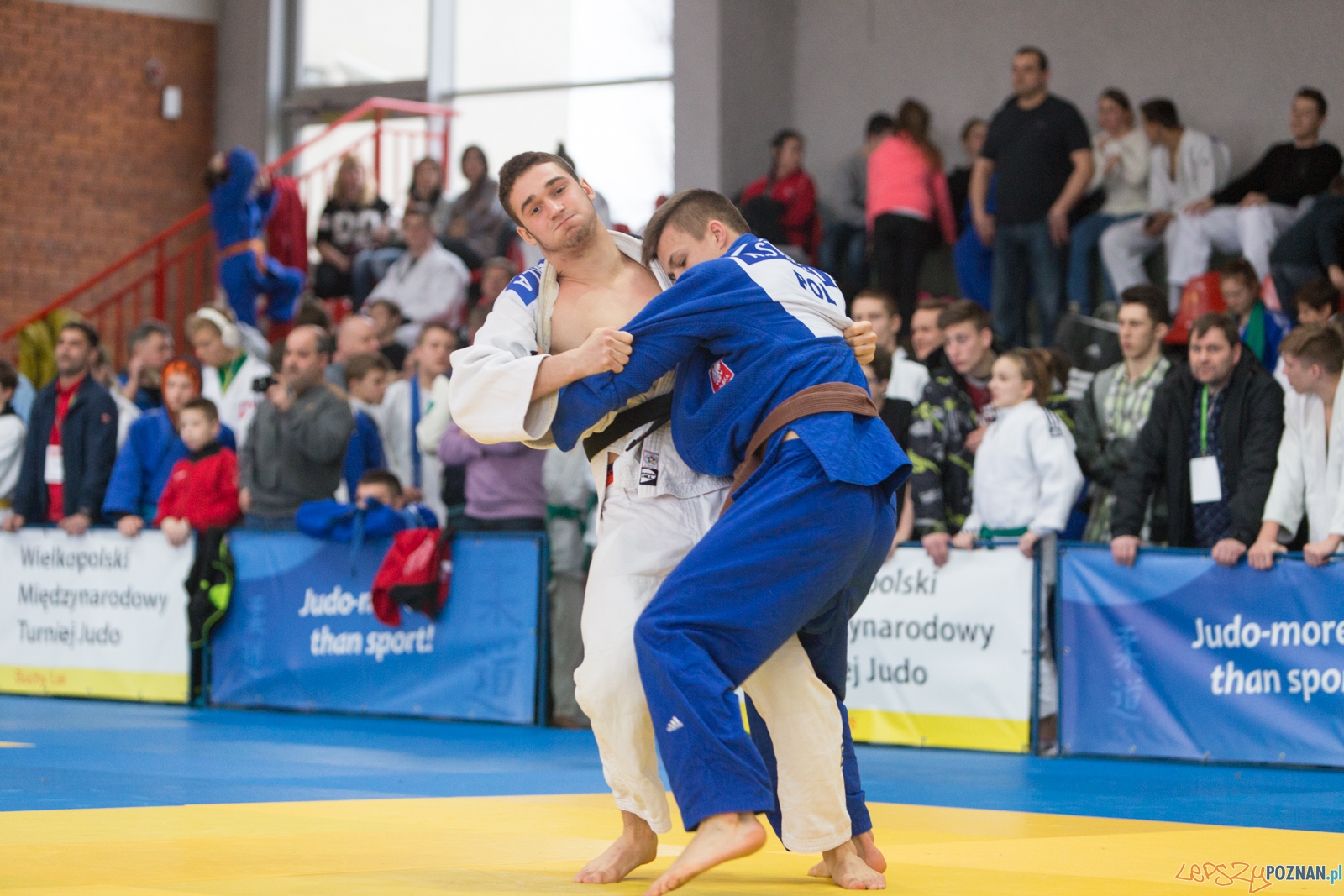 XIII Wielkopolski Międzynarodowy Turniej Judo w Suchym Lesie Foto: lepszyPOZNAN.pl / Piotr Rychter XIII Wielkopolski Międzynarodowy Turniej Judo w Suchym Lesie Foto: lepszyPOZNAN.pl / Piotr Rychter