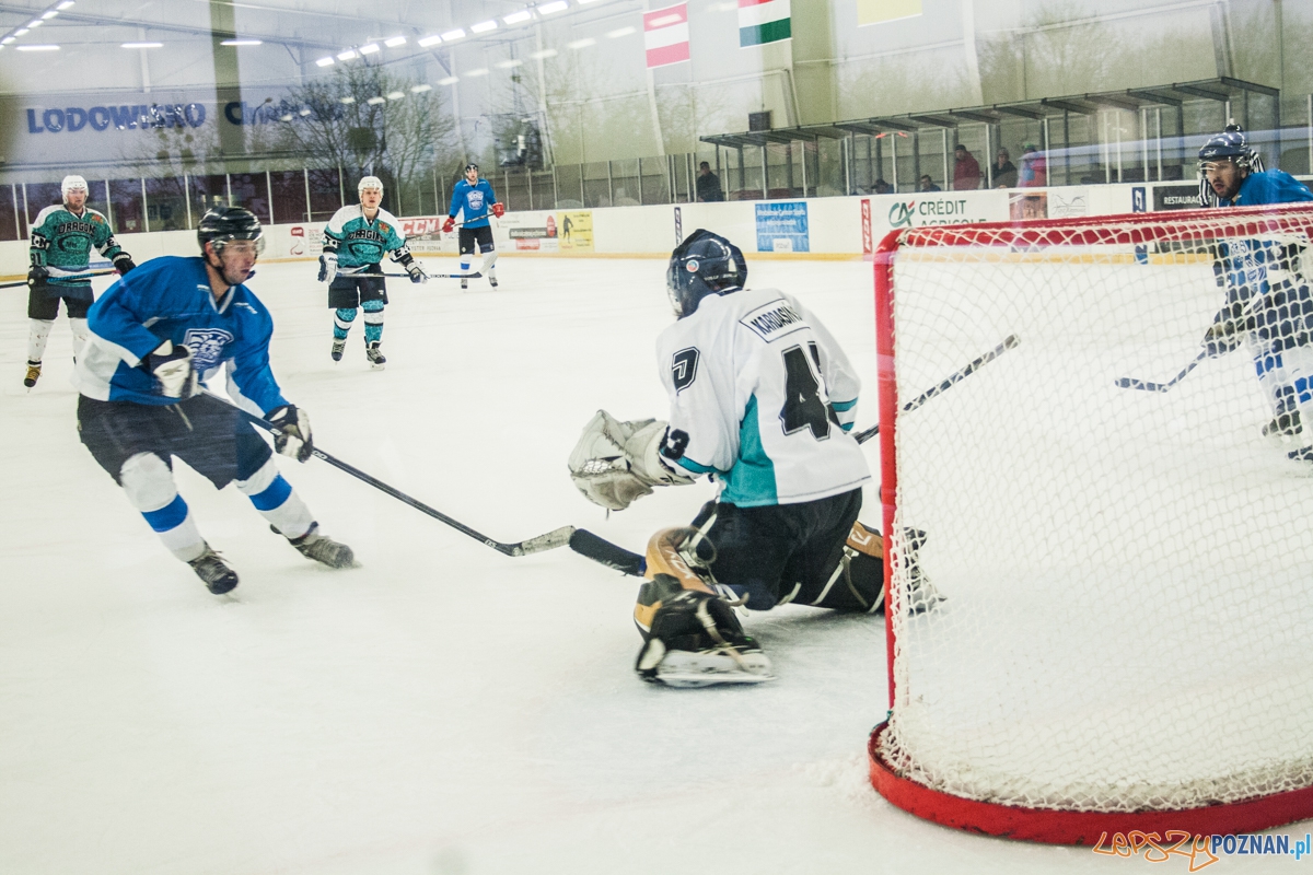 II liga, Malgips Dragons Gdańsk - Hokej Poznań (6.03.2016) Foto: © lepszyPOZNAN.pl / Karolina Kiraga II liga, Malgips Dragons Gdańsk - Hokej Poznań (6.03.2016) Foto: © lepszyPOZNAN.pl / Karolina Kiraga