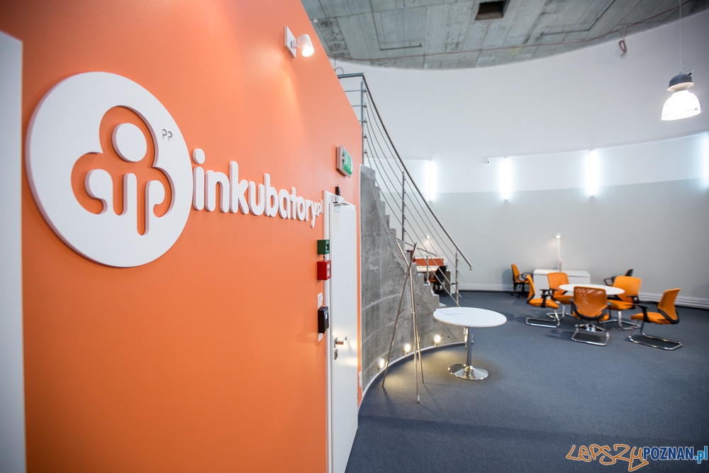 AIP - biuro w Starym Browarze Foto: Jakub Wittchen AIP - biuro w Starym Browarze Foto: Jakub Wittchen