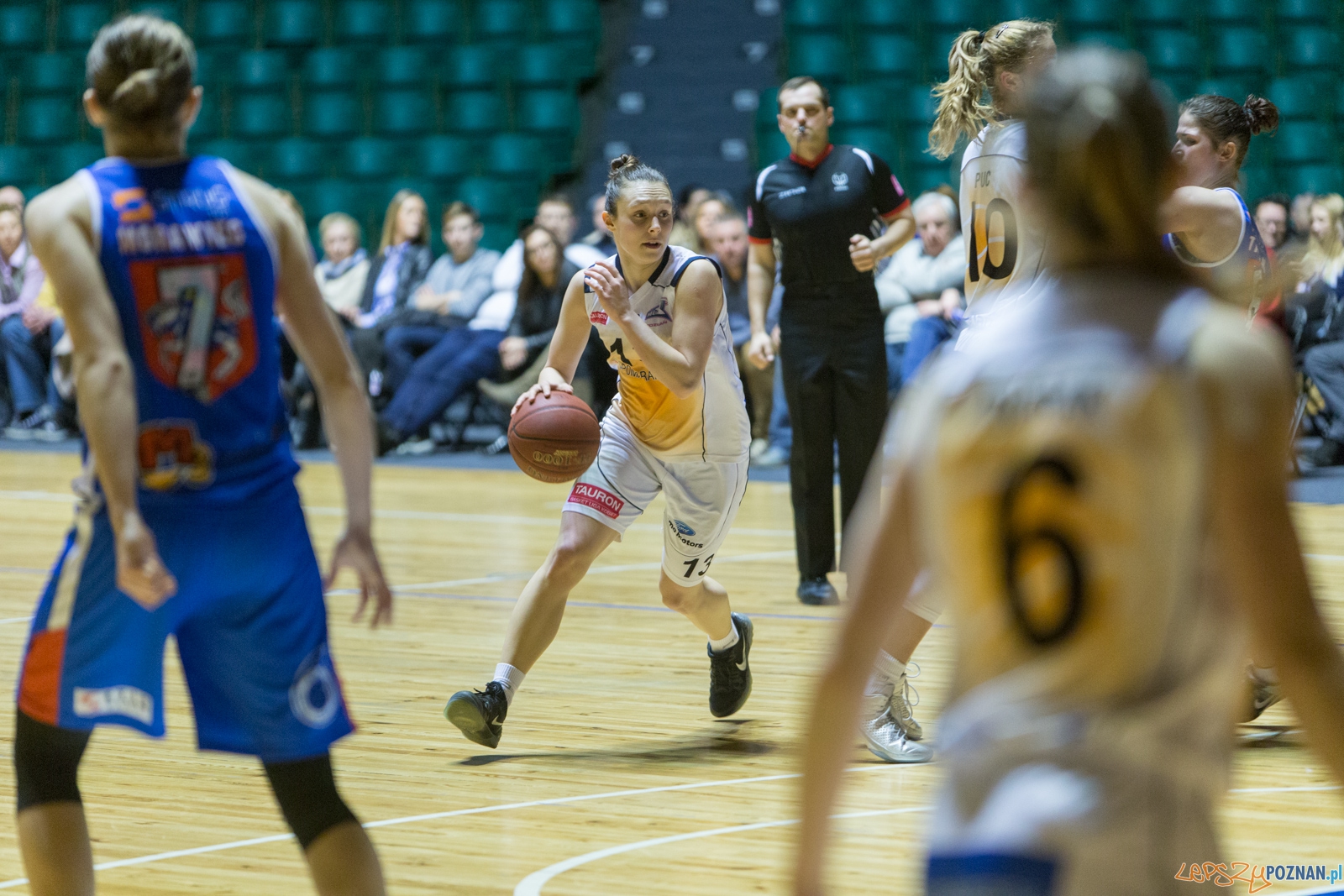 JTC Pomarańczarnia MUKS Poznań - MKK Siedlce Foto: lepszyPOZNAN.pl / Piotr Rychter JTC Pomarańczarnia MUKS Poznań - MKK Siedlce Foto: lepszyPOZNAN.pl / Piotr Rychter