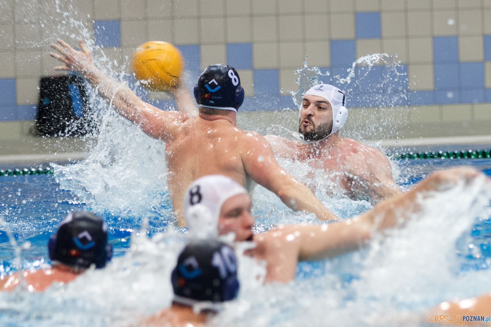 KS Waterpolo Poznań - ŁSTW Uniwersytet Łódzki 9:9 (d 15:16)  Foto: LepszyPOZNAN.pl / Paweł Rychter