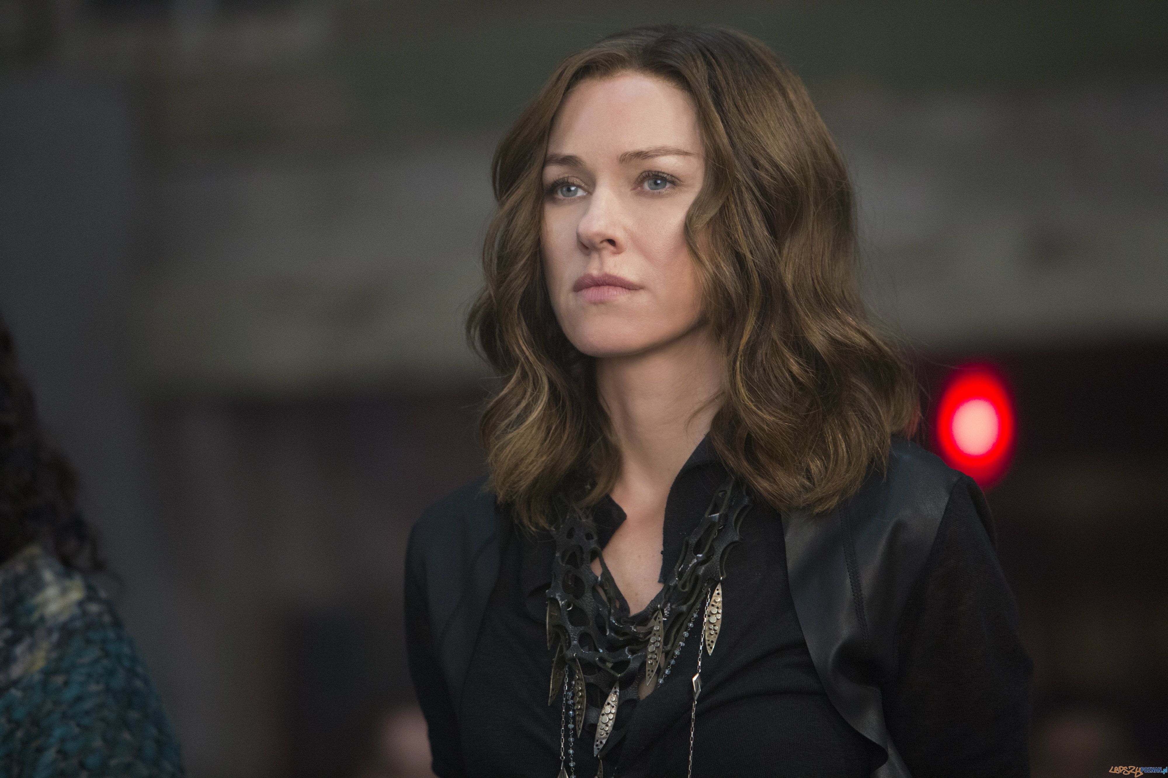 SERIA NIEZGODNA: WIERNA Foto: Monolith Films SERIA NIEZGODNA: WIERNA Foto: Monolith Films