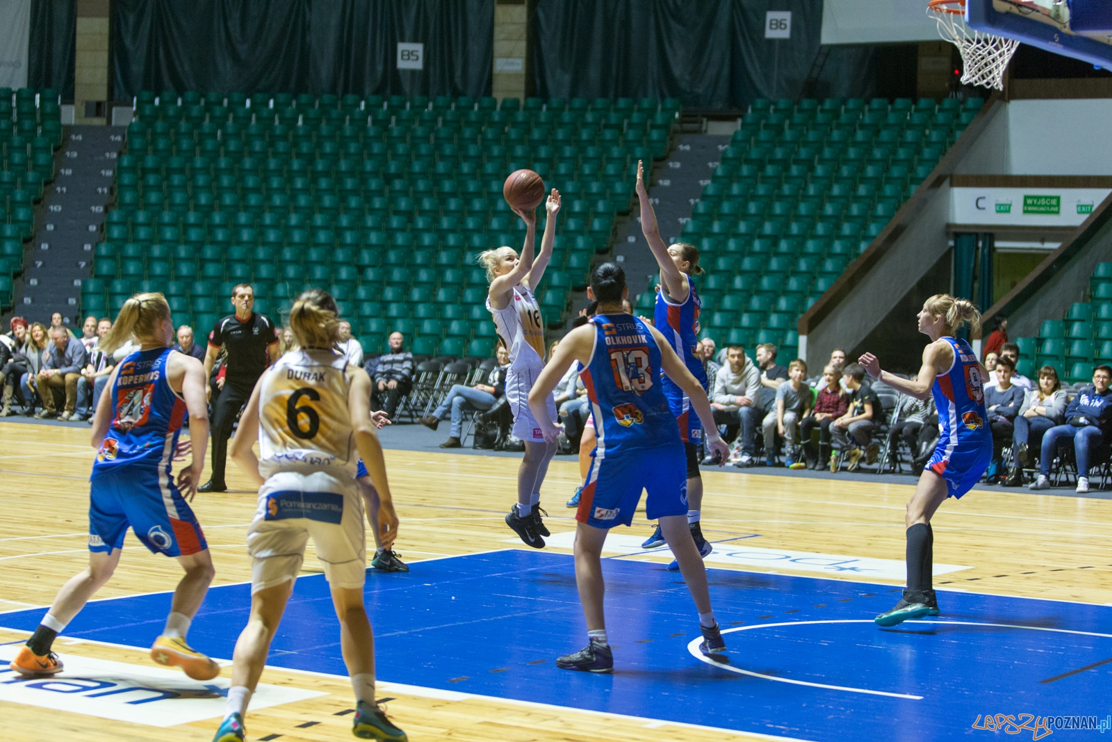 JTC Pomarańczarnia MUKS Poznań - MKK Siedlce Foto: lepszyPOZNAN.pl / Piotr Rychter JTC Pomarańczarnia MUKS Poznań - MKK Siedlce Foto: lepszyPOZNAN.pl / Piotr Rychter