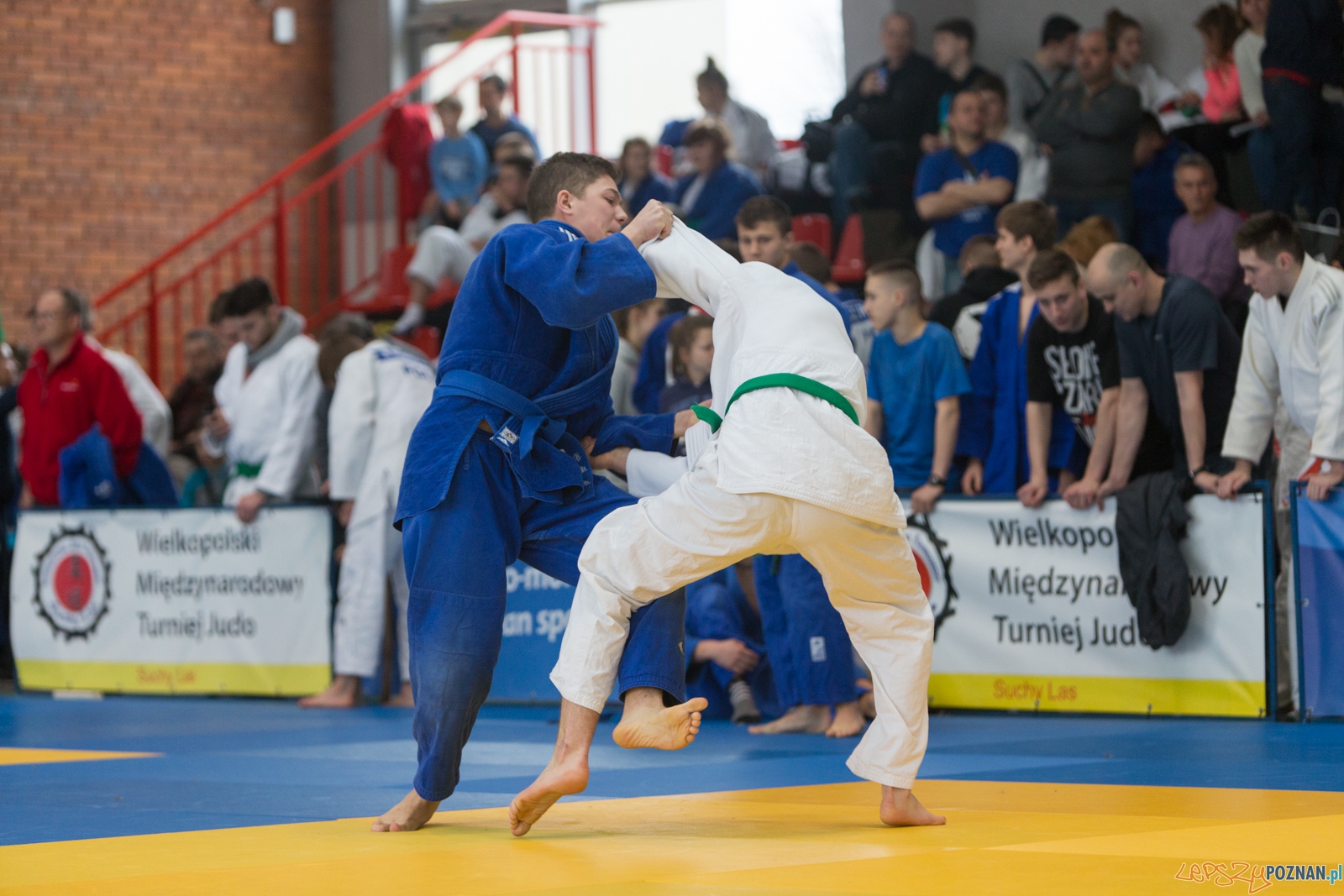XIII Wielkopolski Międzynarodowy Turniej Judo w Suchym Lesie Foto: lepszyPOZNAN.pl / Piotr Rychter XIII Wielkopolski Międzynarodowy Turniej Judo w Suchym Lesie Foto: lepszyPOZNAN.pl / Piotr Rychter