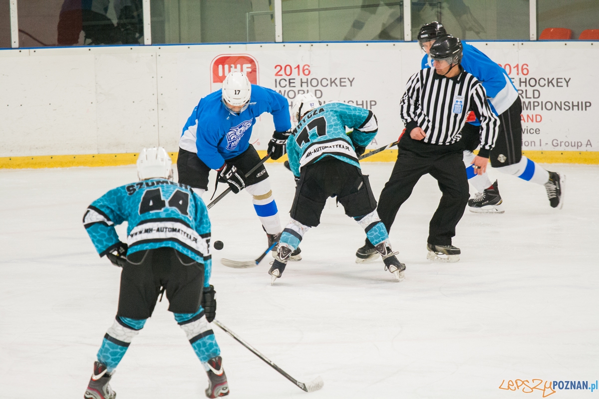 II liga, Malgips Dragons Gdańsk - Hokej Poznań (6.03.2016) Foto: © lepszyPOZNAN.pl / Karolina Kiraga II liga, Malgips Dragons Gdańsk - Hokej Poznań (6.03.2016) Foto: © lepszyPOZNAN.pl / Karolina Kiraga