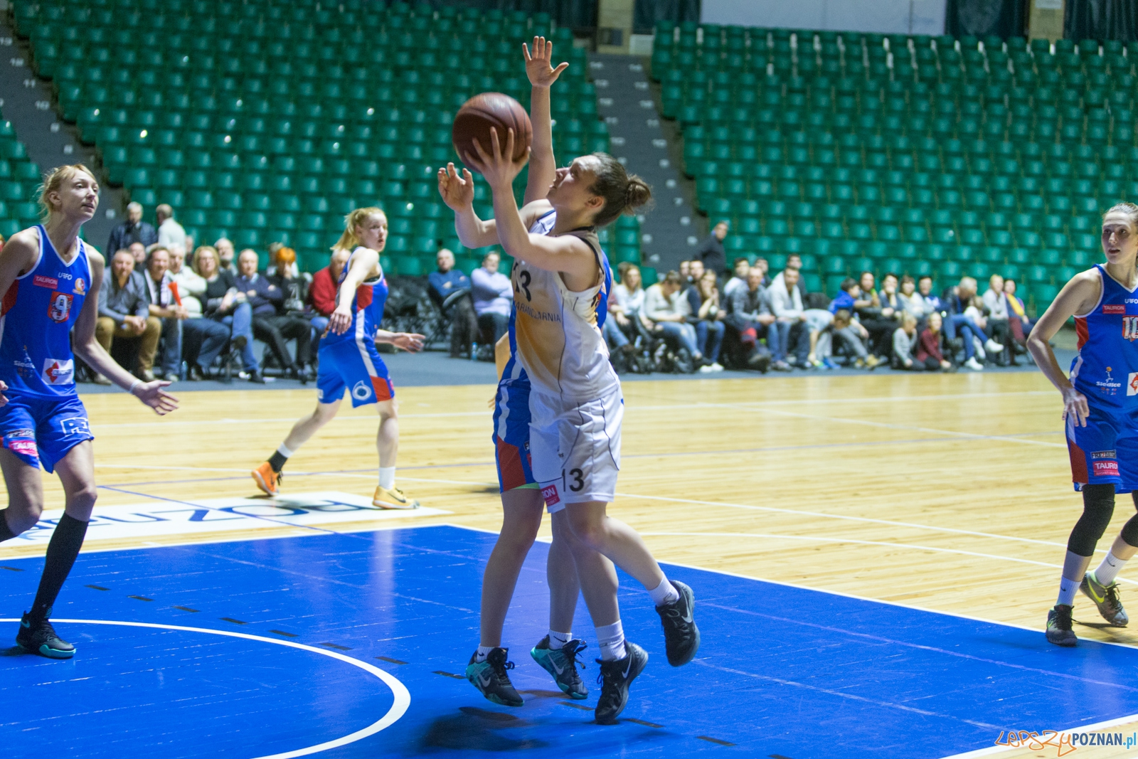JTC Pomarańczarnia MUKS Poznań - MKK Siedlce Foto: lepszyPOZNAN.pl / Piotr Rychter JTC Pomarańczarnia MUKS Poznań - MKK Siedlce Foto: lepszyPOZNAN.pl / Piotr Rychter