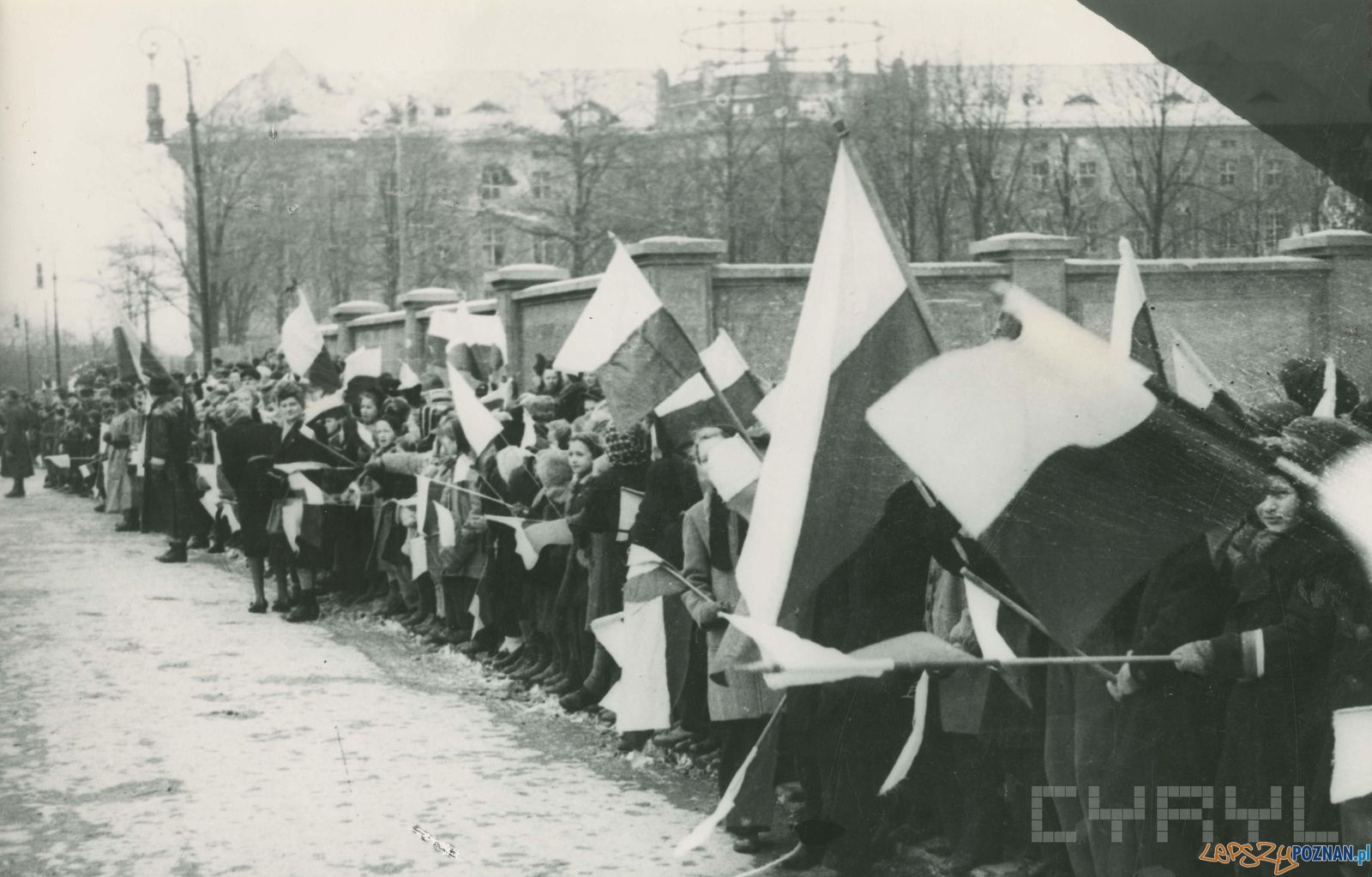 Poznaniacy podczas defilady na Walach Leszczyńskiego (dziś Al. Niepodległości) - 8.03.1945 Foto: Zbigniew Zielonacki / Cyryl Poznaniacy podczas defilady na Walach Leszczyńskiego (dziś Al. Niepodległości) - 8.03.1945 Foto: Zbigniew Zielonacki / Cyryl