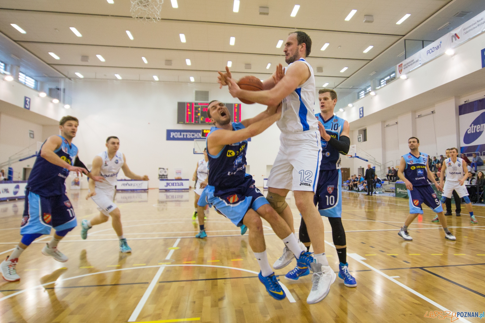 Biofarm Basket Poznań - Zetkama Doral Nysa Kłodzko Foto: lepszyPOZNAN.pl / Piotr Rychter Biofarm Basket Poznań - Zetkama Doral Nysa Kłodzko Foto: lepszyPOZNAN.pl / Piotr Rychter