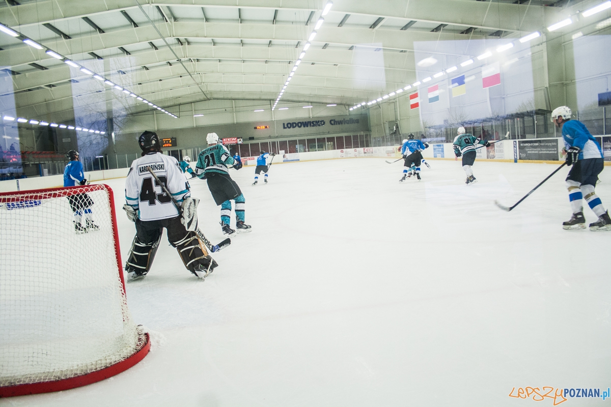 II liga, Malgips Dragons Gdańsk - Hokej Poznań (6.03.2016) Foto: © lepszyPOZNAN.pl / Karolina Kiraga II liga, Malgips Dragons Gdańsk - Hokej Poznań (6.03.2016) Foto: © lepszyPOZNAN.pl / Karolina Kiraga