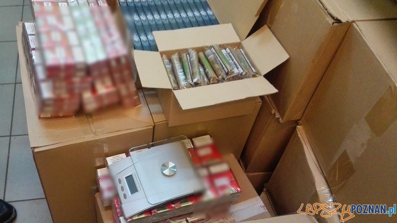 Nielegalny tytoń Foto: KMP Nielegalny tytoń Foto: KMP