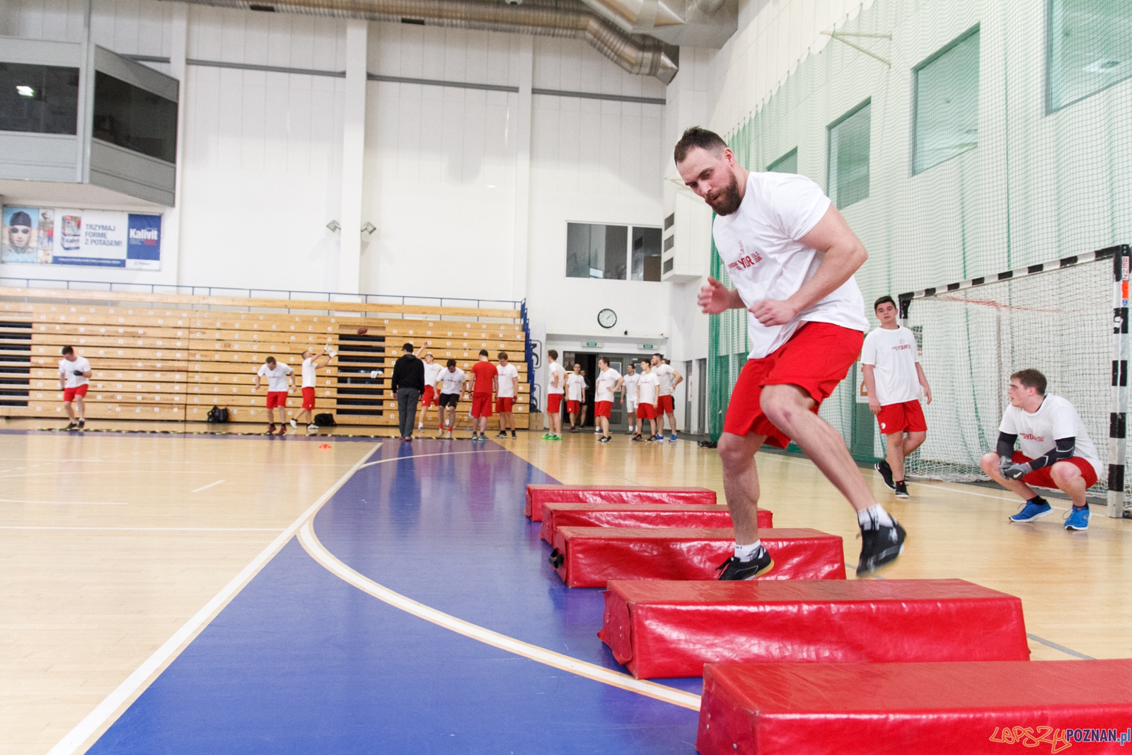 Patrioci Poznań - trening w Citizen - Poznań 28.02.2016 r. Foto: LepszyPOZNAN.pl / Paweł Rychter Patrioci Poznań - trening w Citizen - Poznań 28.02.2016 r. Foto: LepszyPOZNAN.pl / Paweł Rychter