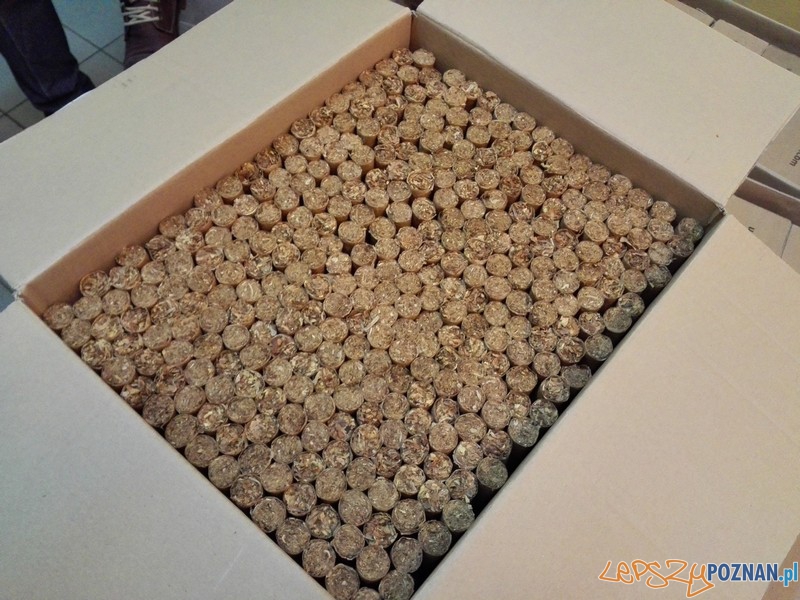 Sprzedawali podrobione ćmiki Foto: KWP w Poznaniu Sprzedawali podrobione ćmiki Foto: KWP w Poznaniu