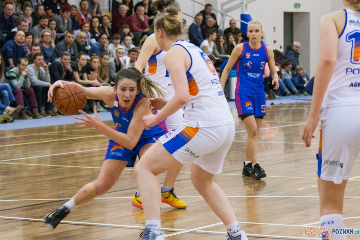 Enea AZS Poznań - Muks II Poznań (6.03.2016) Foto: © lepszyPOZNAN.pl / Karolina Kiraga Enea AZS Poznań - Muks II Poznań (6.03.2016) Foto: © lepszyPOZNAN.pl / Karolina Kiraga