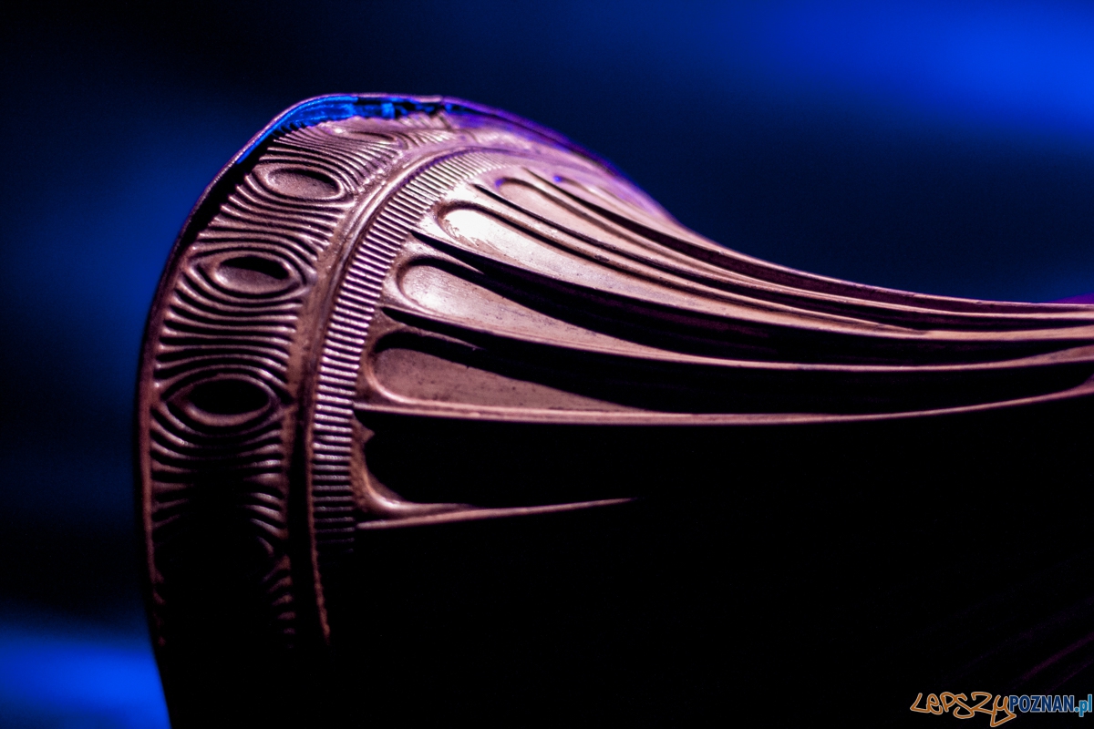 Kult anplakt (13.03.2016) Aula UAM Foto: © lepszyPOZNAN.pl / Karolina Kiraga Kult anplakt (13.03.2016) Aula UAM Foto: © lepszyPOZNAN.pl / Karolina Kiraga