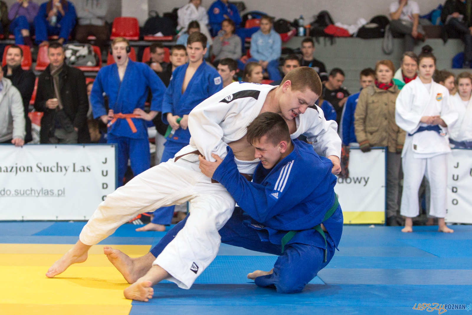XIII Wielkopolski Międzynarodowy Turniej Judo w Suchym Lesie Foto: lepszyPOZNAN.pl / Piotr Rychter XIII Wielkopolski Międzynarodowy Turniej Judo w Suchym Lesie Foto: lepszyPOZNAN.pl / Piotr Rychter