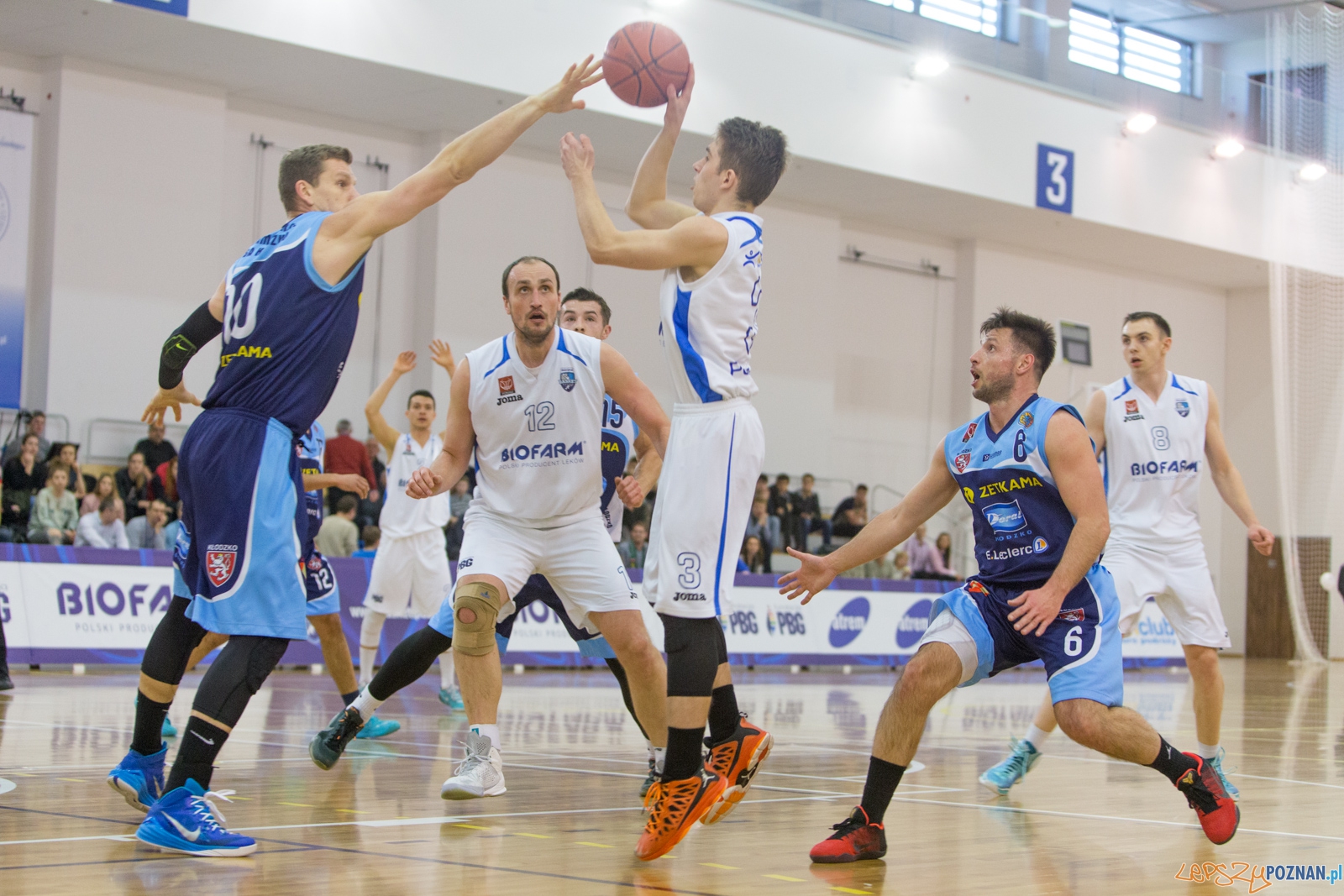 Biofarm Basket Poznań - Zetkama Doral Nysa Kłodzko Foto: lepszyPOZNAN.pl / Piotr Rychter Biofarm Basket Poznań - Zetkama Doral Nysa Kłodzko Foto: lepszyPOZNAN.pl / Piotr Rychter