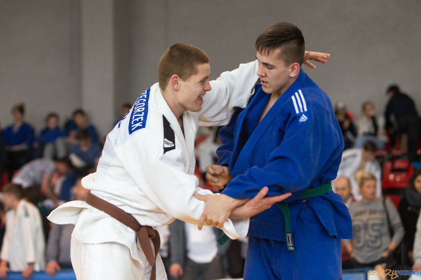 XIII Wielkopolski Międzynarodowy Turniej Judo w Suchym Lesie Foto: lepszyPOZNAN.pl / Piotr Rychter XIII Wielkopolski Międzynarodowy Turniej Judo w Suchym Lesie Foto: lepszyPOZNAN.pl / Piotr Rychter