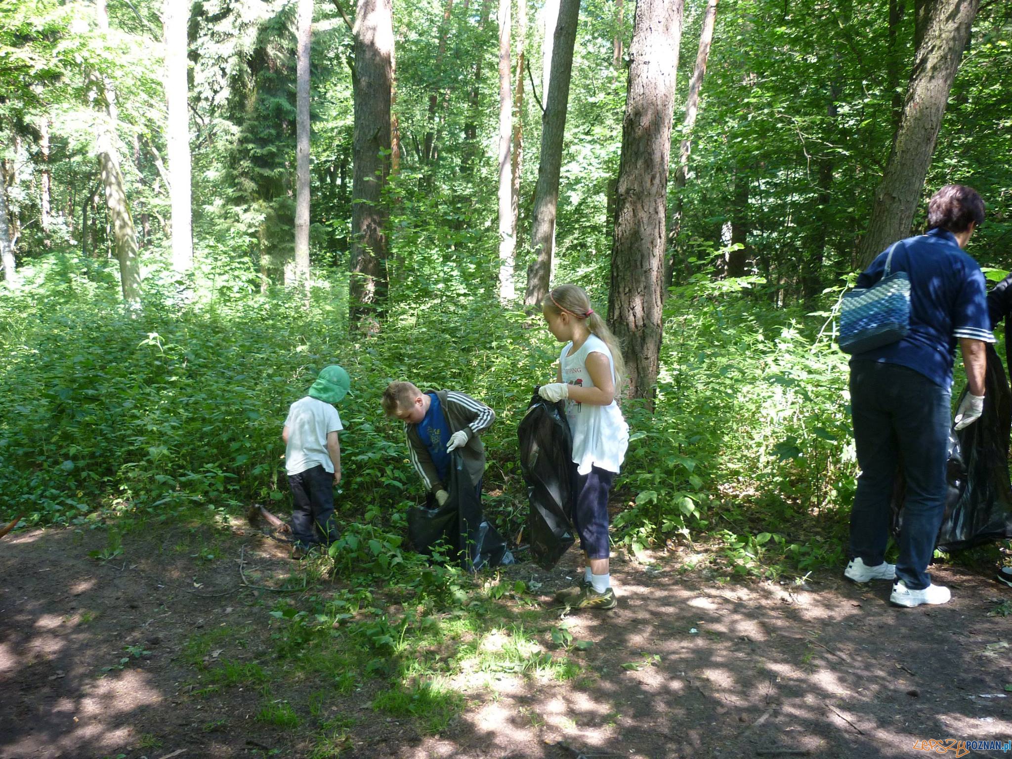 Sprzątanie tuleckiego lasu Foto: UMiG Kleszczewo Sprzątanie tuleckiego lasu Foto: UMiG Kleszczewo
