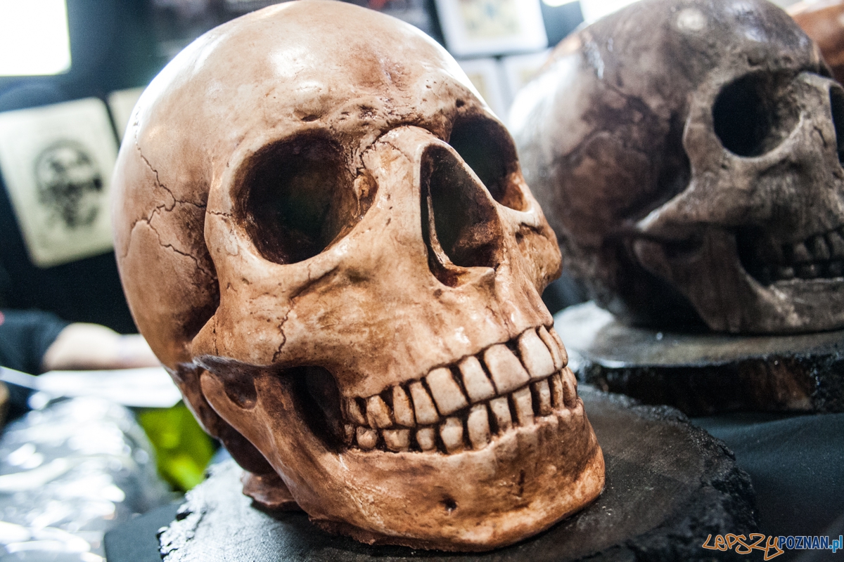 Poznań Tattoo Konwent (19.03.2016) Foto: © lepszyPOZNAN.pl / Karolina Kiraga Poznań Tattoo Konwent (19.03.2016) Foto: © lepszyPOZNAN.pl / Karolina Kiraga