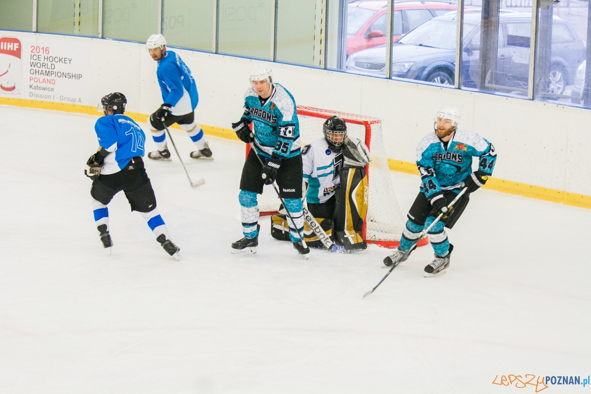 II liga, Malgips Dragons Gdańsk - Hokej Poznań (6.03.2016) Foto: © lepszyPOZNAN.pl / Karolina Kiraga II liga, Malgips Dragons Gdańsk - Hokej Poznań (6.03.2016) Foto: © lepszyPOZNAN.pl / Karolina Kiraga