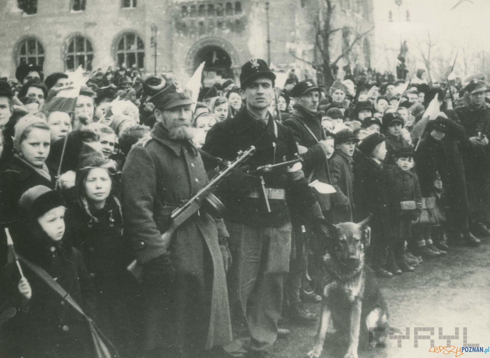 Poznaniacy przez Zamkiem podczas defilady po zakończeniu walk o Poznań - 8.03.1945 Foto: Zbigniew Zielonacki / Cyryl Poznaniacy przez Zamkiem podczas defilady po zakończeniu walk o Poznań - 8.03.1945 Foto: Zbigniew Zielonacki / Cyryl
