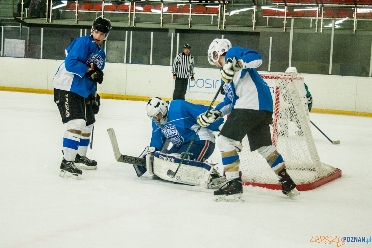 II liga, Malgips Dragons Gdańsk - Hokej Poznań (6.03.2016) Foto: © lepszyPOZNAN.pl / Karolina Kiraga II liga, Malgips Dragons Gdańsk - Hokej Poznań (6.03.2016) Foto: © lepszyPOZNAN.pl / Karolina Kiraga