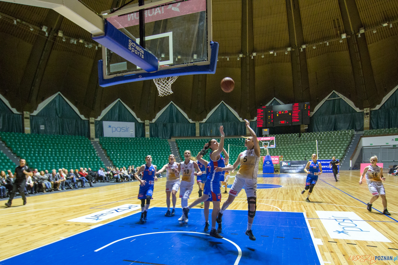 JTC Pomarańczarnia MUKS Poznań - MKK Siedlce Foto: lepszyPOZNAN.pl / Piotr Rychter JTC Pomarańczarnia MUKS Poznań - MKK Siedlce Foto: lepszyPOZNAN.pl / Piotr Rychter