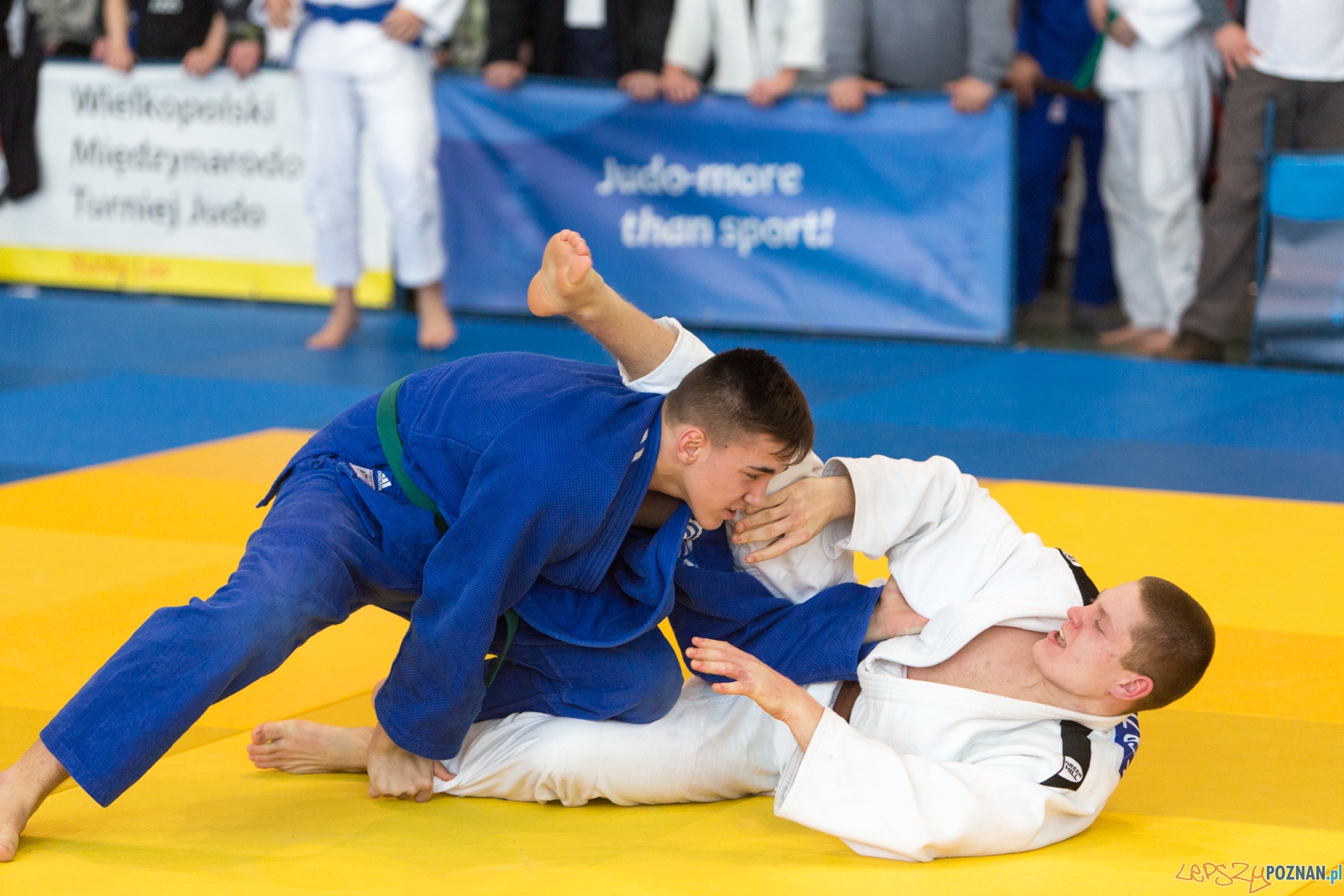 XIII Wielkopolski Międzynarodowy Turniej Judo w Suchym Lesie Foto: lepszyPOZNAN.pl / Piotr Rychter XIII Wielkopolski Międzynarodowy Turniej Judo w Suchym Lesie Foto: lepszyPOZNAN.pl / Piotr Rychter