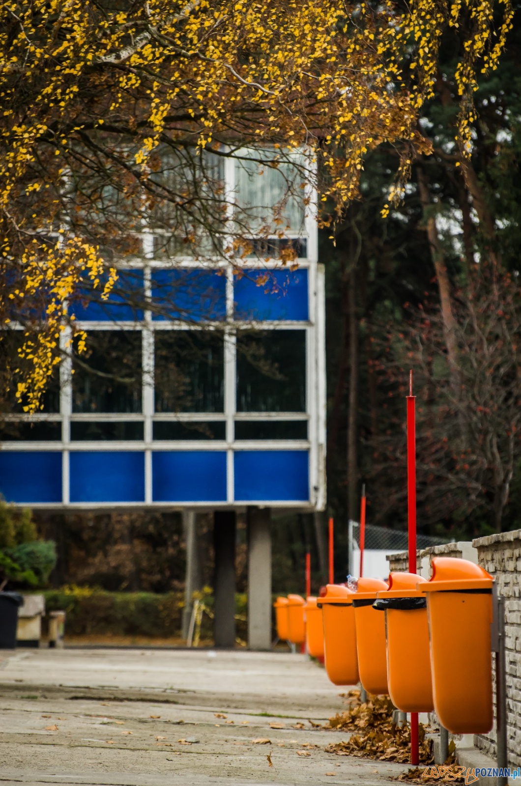 Sportowy Golaj - kolejny etap prac Foto: K. Kaczanowski / PIM Sportowy Golaj - kolejny etap prac Foto: K. Kaczanowski / PIM