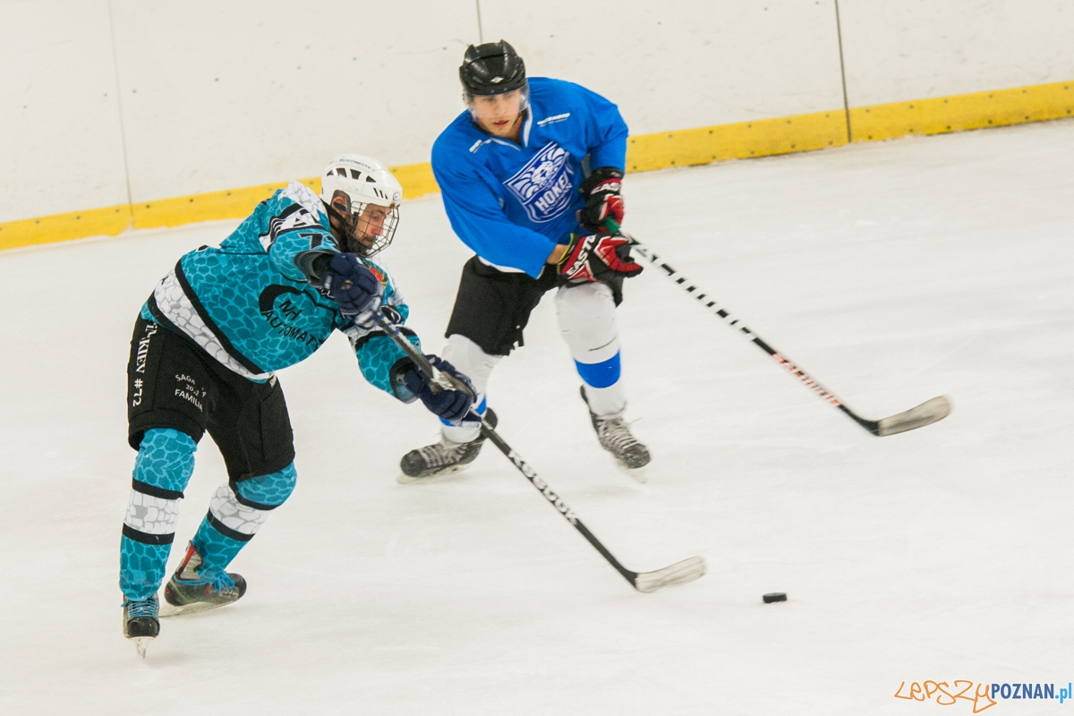 II liga, Malgips Dragons Gdańsk - Hokej Poznań (6.03.2016) Foto: © lepszyPOZNAN.pl / Karolina Kiraga II liga, Malgips Dragons Gdańsk - Hokej Poznań (6.03.2016) Foto: © lepszyPOZNAN.pl / Karolina Kiraga