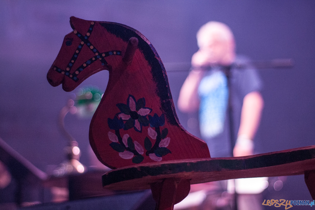 Kult anplakt (13.03.2016) Aula UAM Foto: © lepszyPOZNAN.pl / Karolina Kiraga Kult anplakt (13.03.2016) Aula UAM Foto: © lepszyPOZNAN.pl / Karolina Kiraga