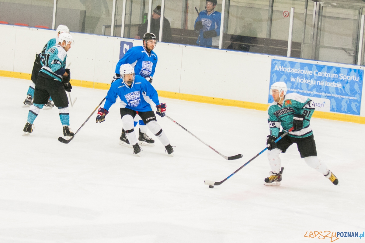 II liga, Malgips Dragons Gdańsk - Hokej Poznań (6.03.2016) Foto: © lepszyPOZNAN.pl / Karolina Kiraga II liga, Malgips Dragons Gdańsk - Hokej Poznań (6.03.2016) Foto: © lepszyPOZNAN.pl / Karolina Kiraga