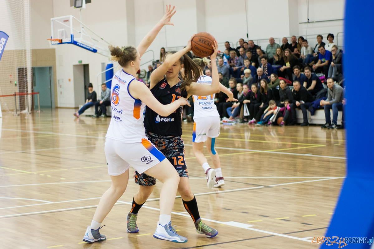 Enea AZS Poznań - UKS Basket SMS Aleksandrów Łódzki Foto: © lepszyPOZNAN.pl / Karolina Kiraga Enea AZS Poznań - UKS Basket SMS Aleksandrów Łódzki Foto: © lepszyPOZNAN.pl / Karolina Kiraga