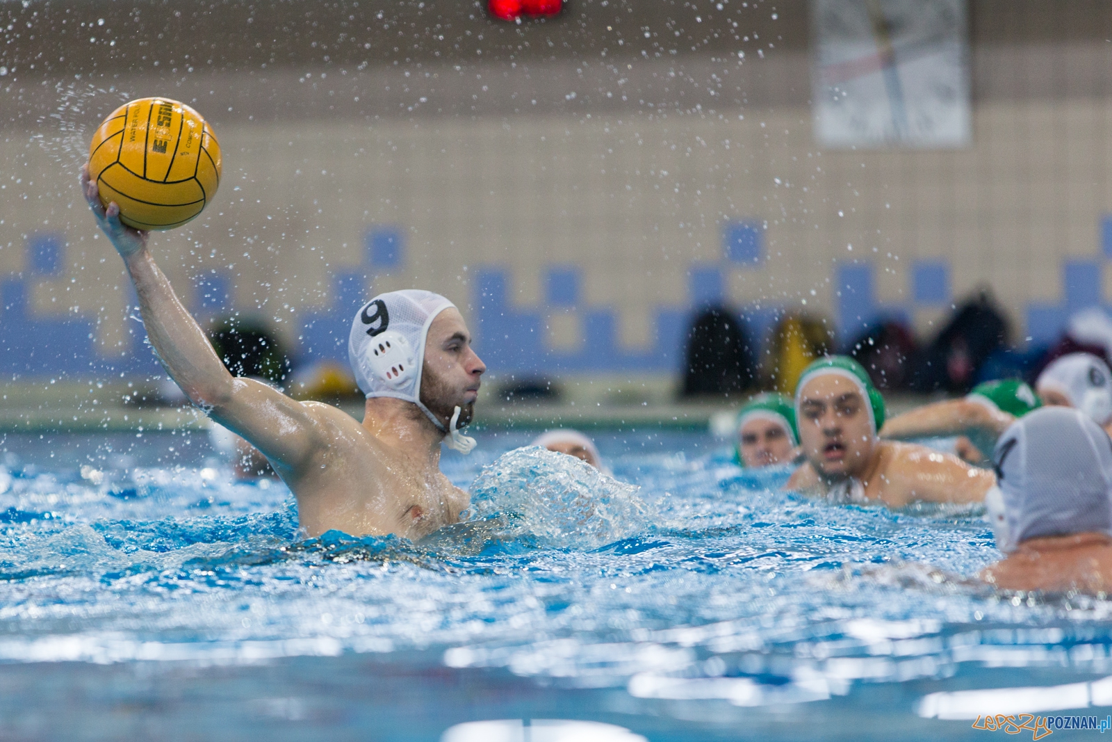 KS Waterpolo Poznań - Legia Warszawa Foto: lepszyPOZNAN.pl / Piotr Rychter KS Waterpolo Poznań - Legia Warszawa Foto: lepszyPOZNAN.pl / Piotr Rychter