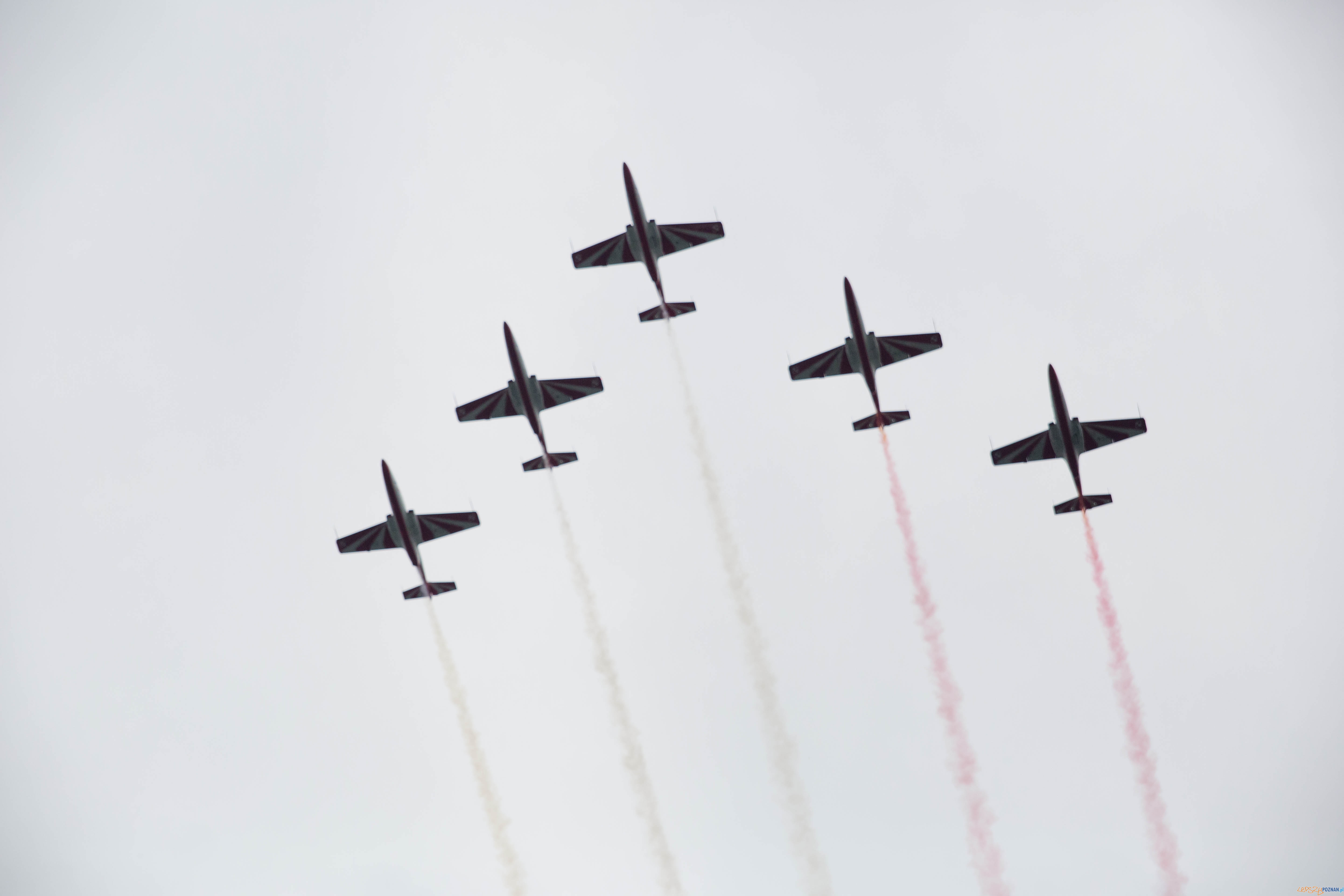 1050-lecie Chrztu Polski - uroczystości na Ostrowie Lednickim Foto: lepszyPOZNAN.pl / Katarzyna Stawecka 1050-lecie Chrztu Polski - uroczystości na Ostrowie Lednickim Foto: lepszyPOZNAN.pl / Katarzyna Stawecka