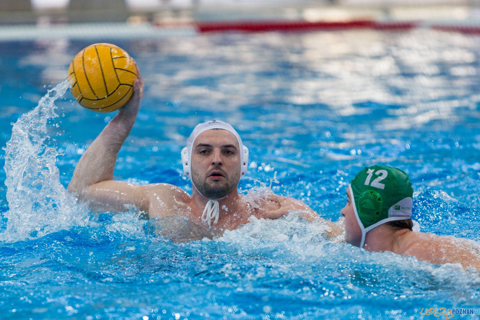 KS Waterpolo Poznań - Legia Warszawa Foto: lepszyPOZNAN.pl / Piotr Rychter KS Waterpolo Poznań - Legia Warszawa Foto: lepszyPOZNAN.pl / Piotr Rychter
