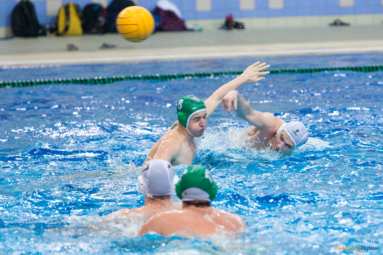 KS Waterpolo Poznań - Legia Warszawa Foto: lepszyPOZNAN.pl / Piotr Rychter KS Waterpolo Poznań - Legia Warszawa Foto: lepszyPOZNAN.pl / Piotr Rychter